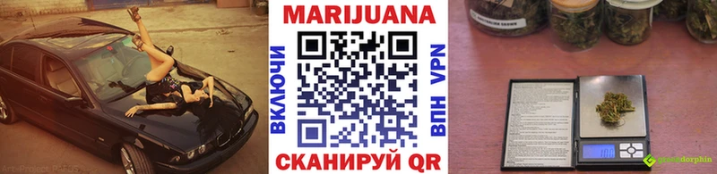 где можно купить   Шарыпово  Бошки Шишки Amnesia 